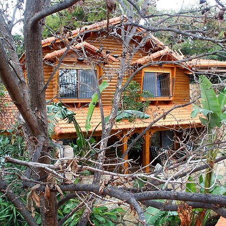 Ohn-Bar Guesthouse Амирим Экстерьер фото